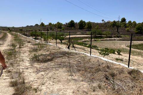Terra a Benissa, Alicante, Benissa - € 196.000 | Ref: G-1793-AMB - foto 3