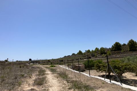 Terra a Benissa, Alicante, Benissa - € 196.000 | Ref: G-1793-AMB - foto 10