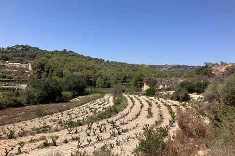 Helårsgrund i Teulada, Alicante, Teulada - € 400.000 | Ref: G-1792-AMB - foto 5