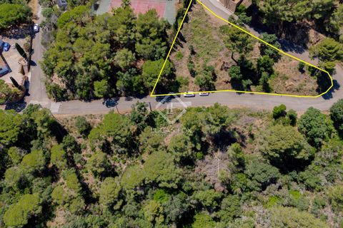 Terra a Tossa De Mar, Gerona, Tossa De Mar - € 300.000 | Ref: CBR52295 - foto 9
