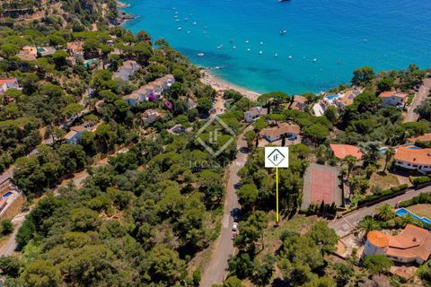 Terra a Tossa De Mar, Gerona, Tossa De Mar - € 300.000 | Ref: CBR52295 - foto 13