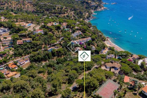 Terra a Tossa De Mar, Gerona, Tossa De Mar - € 300.000 | Ref: CBR52295 - foto 14