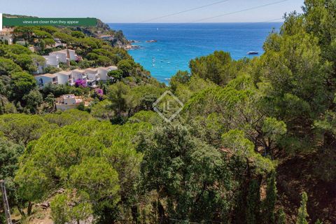Terra a Tossa De Mar, Gerona, Tossa De Mar - € 300.000 | Ref: CBR52295 - foto 15