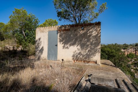 Finca i Roquetes, Tarragona, Roquetes - € 160.000 | Ref: 91 - foto 21