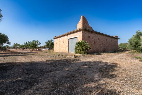 Finca i Roquetes, Tarragona, Roquetes - € 160.000 | Ref: 91 - foto 10