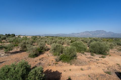 Finca i Roquetes, Tarragona, Roquetes - € 160.000 | Ref: 91 - foto 36