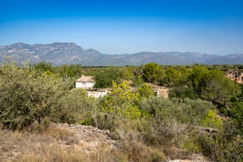 Finca i Roquetes, Tarragona, Roquetes - € 160.000 | Ref: 91 - foto 11
