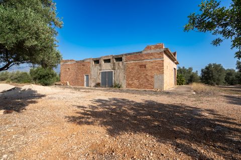 Finca i Roquetes, Tarragona, Roquetes - € 160.000 | Ref: 91 - foto 1