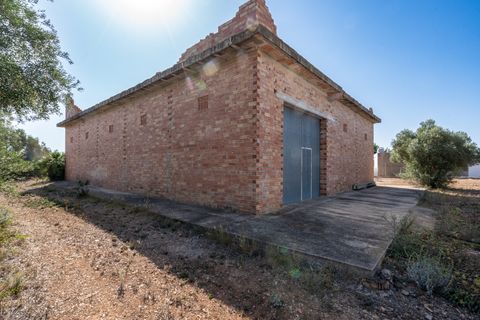 Finca i Roquetes, Tarragona, Roquetes - € 160.000 | Ref: 91 - foto 31