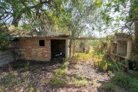 Finca i Roquetes, Tarragona, Roquetes - € 160.000 | Ref: 91 - foto 30