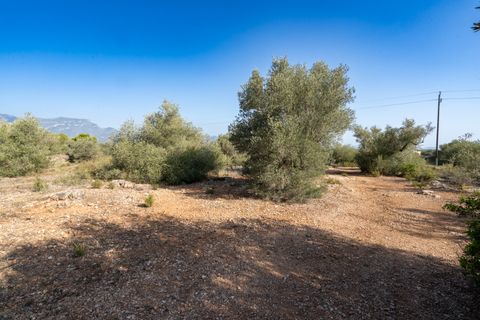 Finca i Roquetes, Tarragona, Roquetes - € 160.000 | Ref: 91 - foto 14