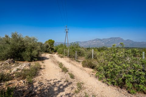 Finca i Roquetes, Tarragona, Roquetes - € 160.000 | Ref: 91 - foto 17