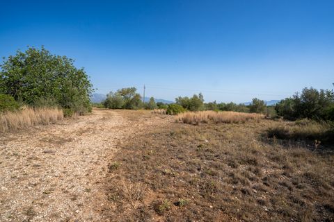 Finca i Roquetes, Tarragona, Roquetes - € 160.000 | Ref: 91 - foto 18