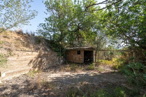 Finca i Roquetes, Tarragona, Roquetes - € 160.000 | Ref: 91 - foto 29