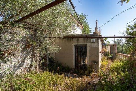 Finca i Roquetes, Tarragona, Roquetes - € 160.000 | Ref: 91 - foto 28