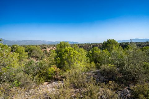 Finca i Roquetes, Tarragona, Roquetes - € 160.000 | Ref: 91 - foto 16