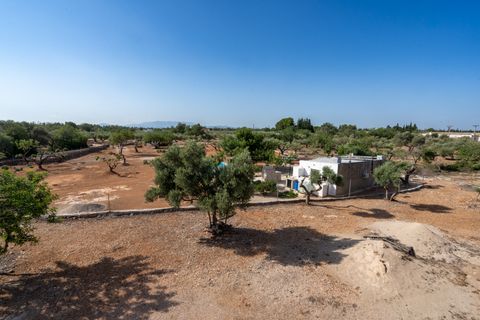 Finca i Roquetes, Tarragona, Roquetes - € 160.000 | Ref: 91 - foto 34