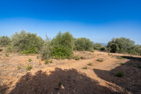 Finca i Roquetes, Tarragona, Roquetes - € 160.000 | Ref: 91 - foto 15