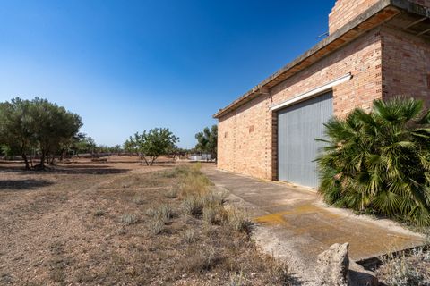 Finca i Roquetes, Tarragona, Roquetes - € 160.000 | Ref: 91 - foto 33