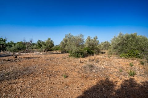 Finca i Roquetes, Tarragona, Roquetes - € 160.000 | Ref: 91 - foto 13