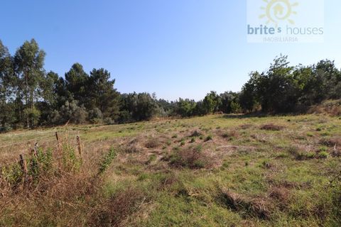 Helårsgrund i Serra, Santarem, Serra - € 50.000 | Ref: Tr112 - foto 5