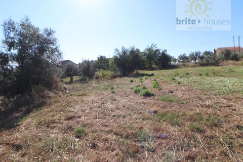 Helårsgrund i Serra, Santarem, Serra - € 50.000 | Ref: Tr112 - foto 2
