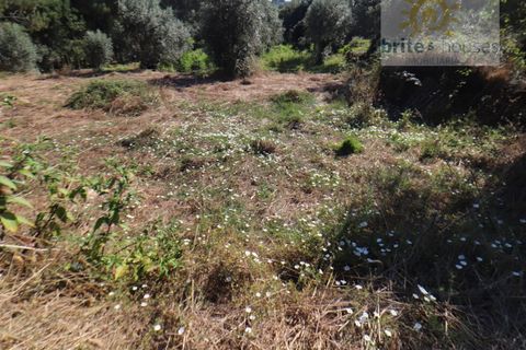 Helårsgrund i Serra, Santarem, Serra - € 50.000 | Ref: Tr112 - foto 6