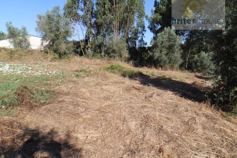 Helårsgrund i Serra, Santarem, Serra - € 50.000 | Ref: Tr112 - foto 7