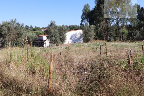 Helårsgrund i Serra, Santarem, Serra - € 50.000 | Ref: Tr112 - foto 8