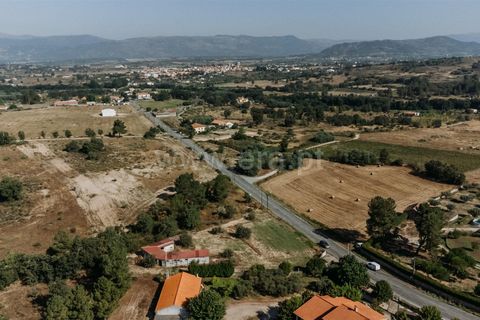 Terra a Belmonte, Castelo Branco, Belmonte - € 37.500 | Ref: 111240128 - foto 2