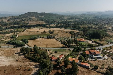 Terra a Belmonte, Castelo Branco, Belmonte - € 37.500 | Ref: 111240128 - foto 3
