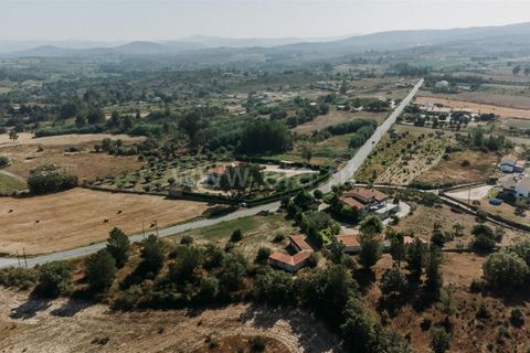 Terra a Belmonte, Castelo Branco, Belmonte - € 37.500 | Ref: 111240128 - foto 4