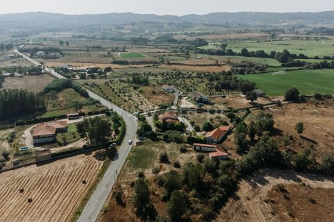 Terra a Belmonte, Castelo Branco, Belmonte - € 37.500 | Ref: 111240128 - foto 5