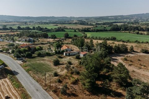 Terra a Belmonte, Castelo Branco, Belmonte - € 37.500 | Ref: 111240128 - foto 6