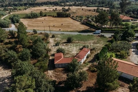 Terra a Belmonte, Castelo Branco, Belmonte - € 37.500 | Ref: 111240128 - foto 7