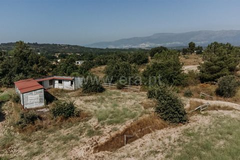 Terra a Belmonte, Castelo Branco, Belmonte - € 37.500 | Ref: 111240128 - foto 8