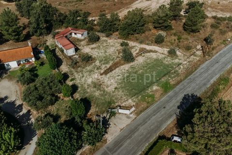 Terra a Belmonte, Castelo Branco, Belmonte - € 37.500 | Ref: 111240128 - foto 10