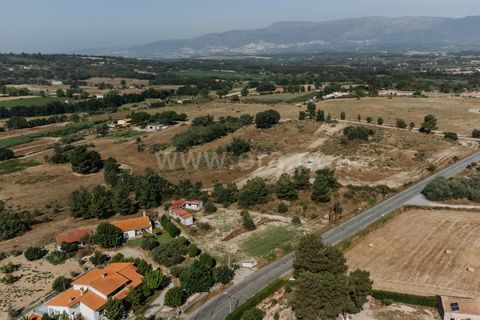 Terra a Belmonte, Castelo Branco, Belmonte - € 37.500 | Ref: 111240128 - foto 11