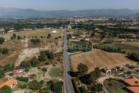 Terra a Belmonte, Castelo Branco, Belmonte - € 37.500 | Ref: 111240128 - foto 12