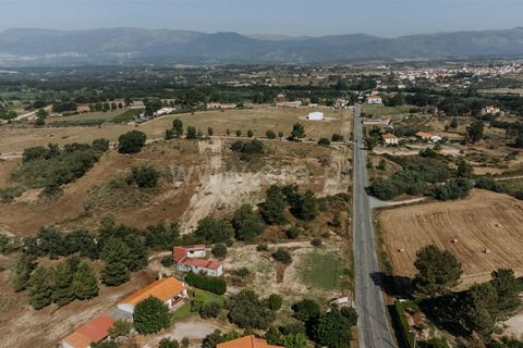 Terra a Belmonte, Castelo Branco, Belmonte - € 37.500 | Ref: 111240128 - foto 13