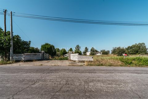 Terra a Belmonte, Castelo Branco, Belmonte - € 37.500 | Ref: 111240128 - foto 14