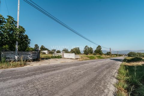 Terra a Belmonte, Castelo Branco, Belmonte - € 37.500 | Ref: 111240128 - foto 15