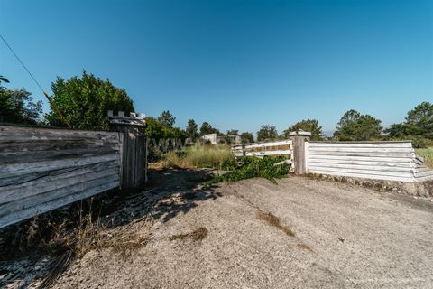 Terra a Belmonte, Castelo Branco, Belmonte - € 37.500 | Ref: 111240128 - foto 16