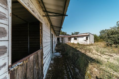 Terra a Belmonte, Castelo Branco, Belmonte - € 37.500 | Ref: 111240128 - foto 17