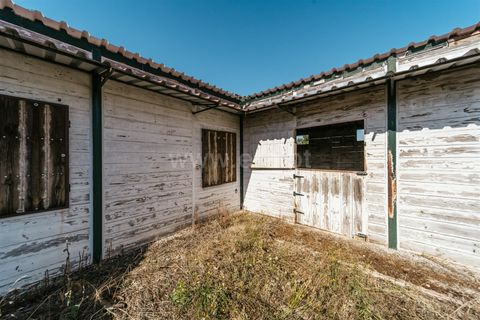 Terra a Belmonte, Castelo Branco, Belmonte - € 37.500 | Ref: 111240128 - foto 19