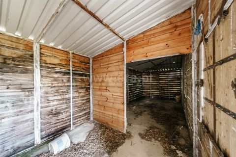 Terra a Belmonte, Castelo Branco, Belmonte - € 37.500 | Ref: 111240128 - foto 21