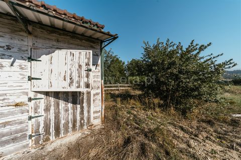 Terra a Belmonte, Castelo Branco, Belmonte - € 37.500 | Ref: 111240128 - foto 23
