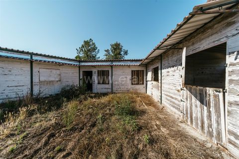 Terra a Belmonte, Castelo Branco, Belmonte - € 37.500 | Ref: 111240128 - foto 24