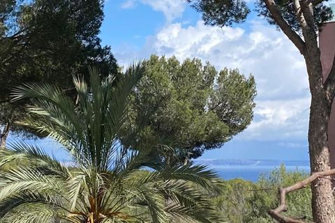 Lejlighed i Calvia, Mallorca, Calvia - € 1.150.000 | Ref: 41810232_ED/11003 - foto 25