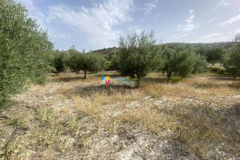 Landejendom i Lucar, Almeria, Lucar - € 129.000 | Ref: 2410 - foto 30